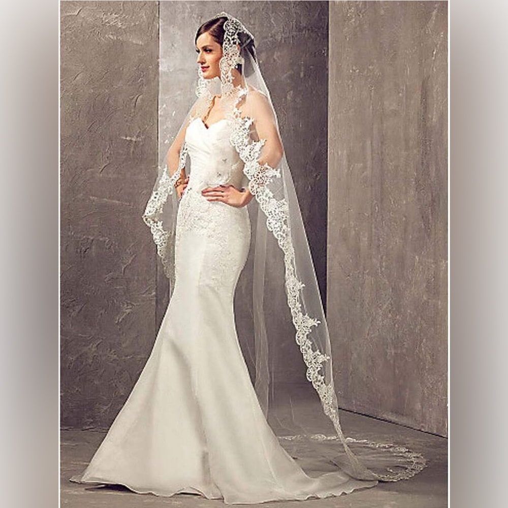 White Cathedral Chapel Length Veil with lace detail